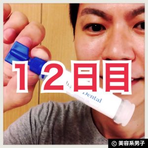 縲蝉ス馴ィ12譌・逶ョ縲代帙Ρ繧、繝医ル繝ウ繧ー繧ク繧ァ繝ォ繝薙シ繧ー繝ャ繝ウ繝繝ウ繧ソ繝ォ-蜿」繧ウ繝