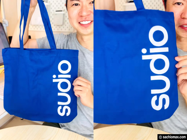 【北欧×高音質】1万円以下で買えるワイヤレスイヤホン「Sudio N3 Pro」完成度レビュー-03