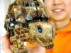 【ZOIDS】ゾイドワイルド ガノンタス ケヅメリクガメ風に塗装する方法00-